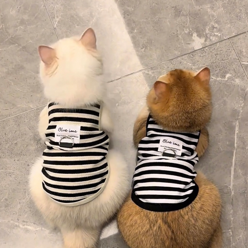 猫咪夏天衣服防掉毛带牵引环金银渐层布偶猫英短宠物夏季薄款背心