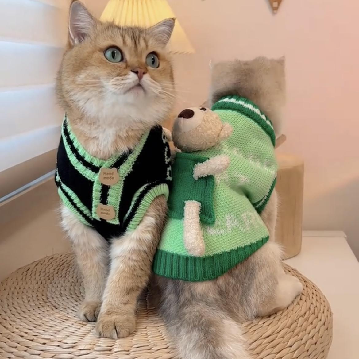 宠物猫咪防掉毛秋季秋装布偶猫