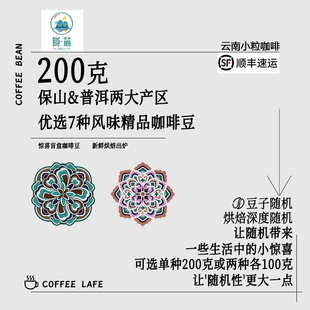 胧麓SOE咖啡豆四种尝鲜品鉴装 4包 阿拉比卡精品手冲咖啡豆100克