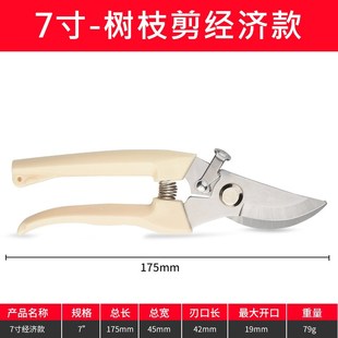 剪枝剪刀果树修枝修树枝剪园艺z修剪枝剪园林修花剪子枝盆栽花艺