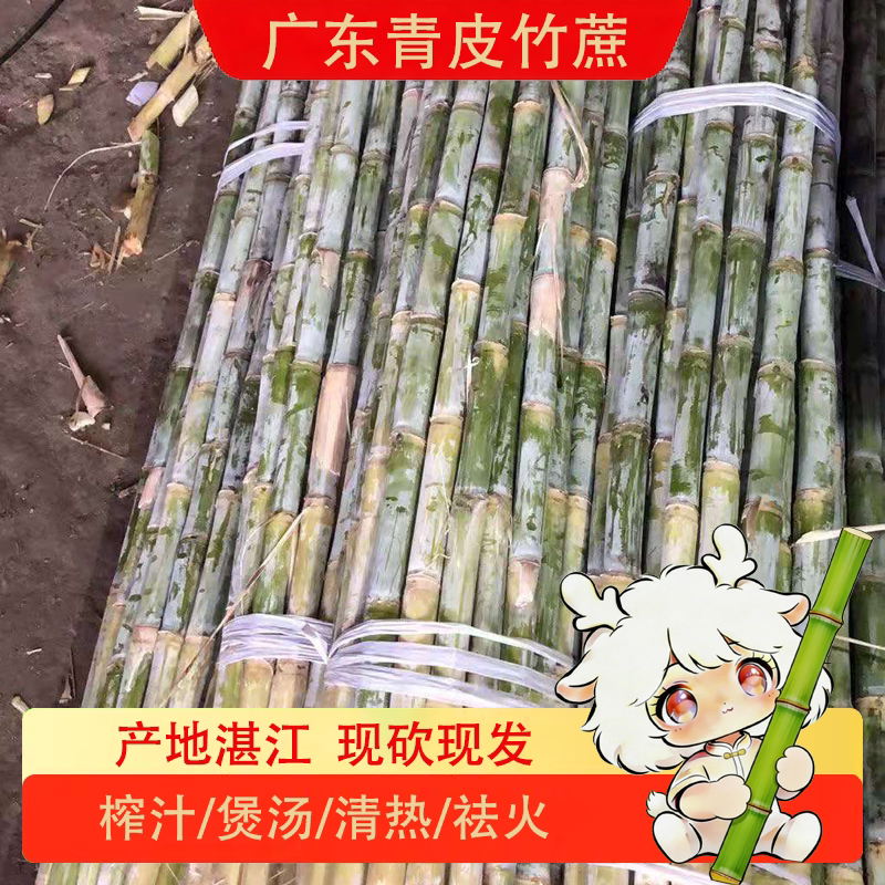 竹蔗新鲜切口会发红广东青皮甘蔗其它