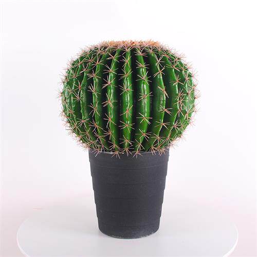 热带植物造景PU杆仙人柱盆栽大型仿真仙人掌沙漠植物装饰量天尺