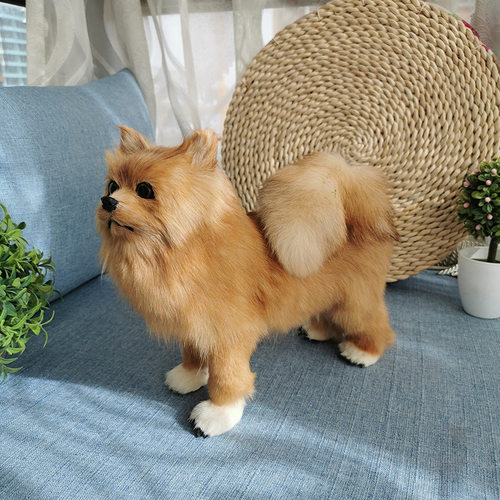 狐狸犬玩具价格 狐狸犬玩具图片 星期三 狐狸犬玩具价格 狐狸犬玩具图片 星期三