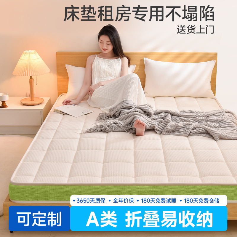 床垫租房专用家用卧室可折叠定制