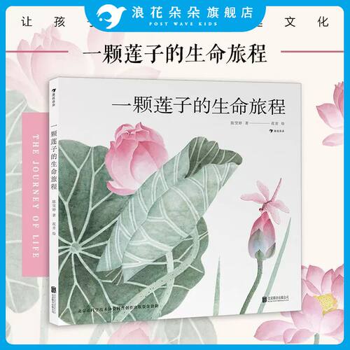 【赠荷塘国画】一颗莲子的生命旅程 以国画绘出莲的生命轮回国风情怀自然植物科普绘本大鹏自然童书奖华文原创奖 浪花朵朵童书