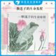 赠荷塘国画 生命轮回国风情怀自然植物科普绘本大鹏自然童书奖华文原创奖 一颗莲子 以国画绘出莲 浪花朵朵童书 生命旅程