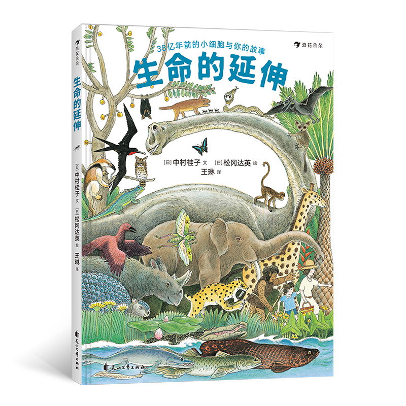 浪花朵朵童书正版 生命的延伸 松冈达英生物进化儿童科普百科插图绘本