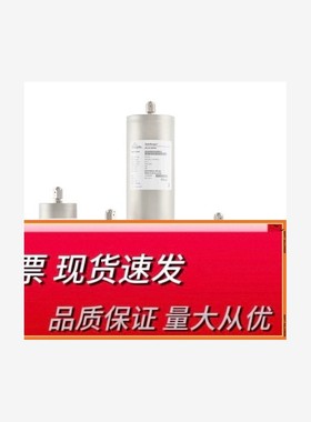 美国Entegris英特格气体纯化器GPUS2500FHX0