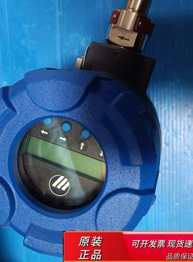 Magnetrol TA2-A1B0-930/TER-A00