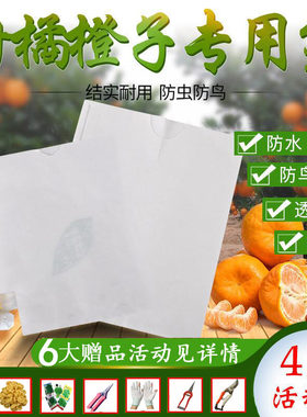 柑橘专用套袋不知火车厘子