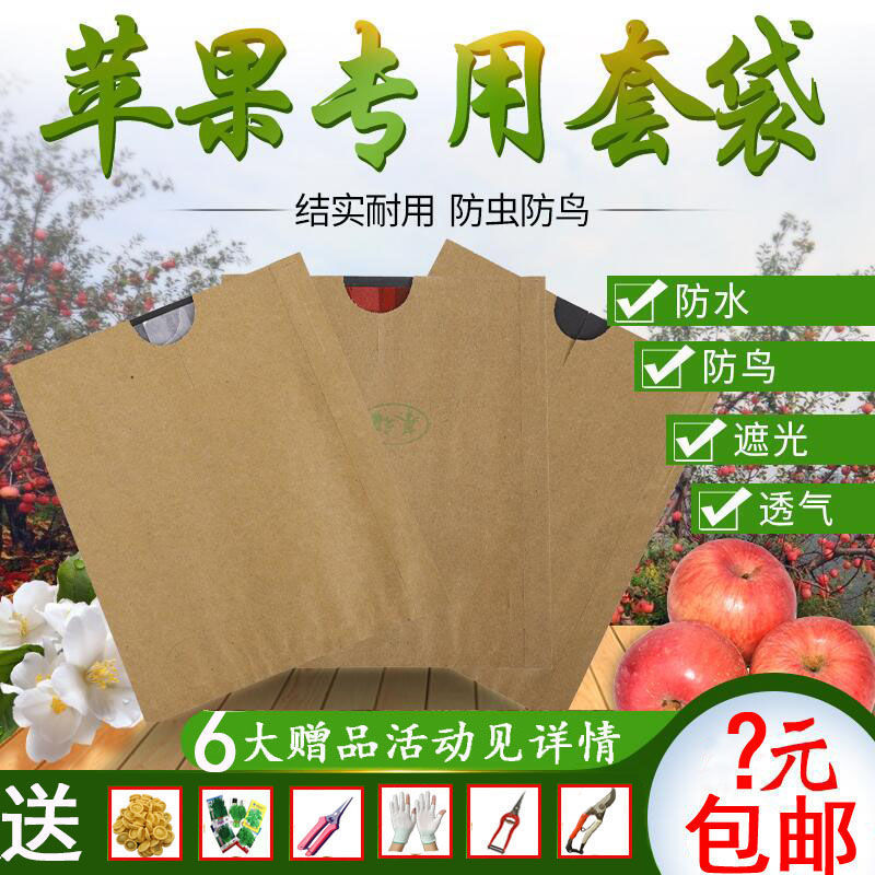 苹果套袋韩富一品金农防水防晒