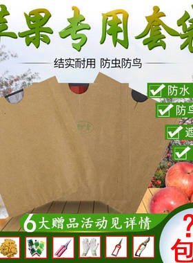 苹果套袋韩富一品金农防水防晒