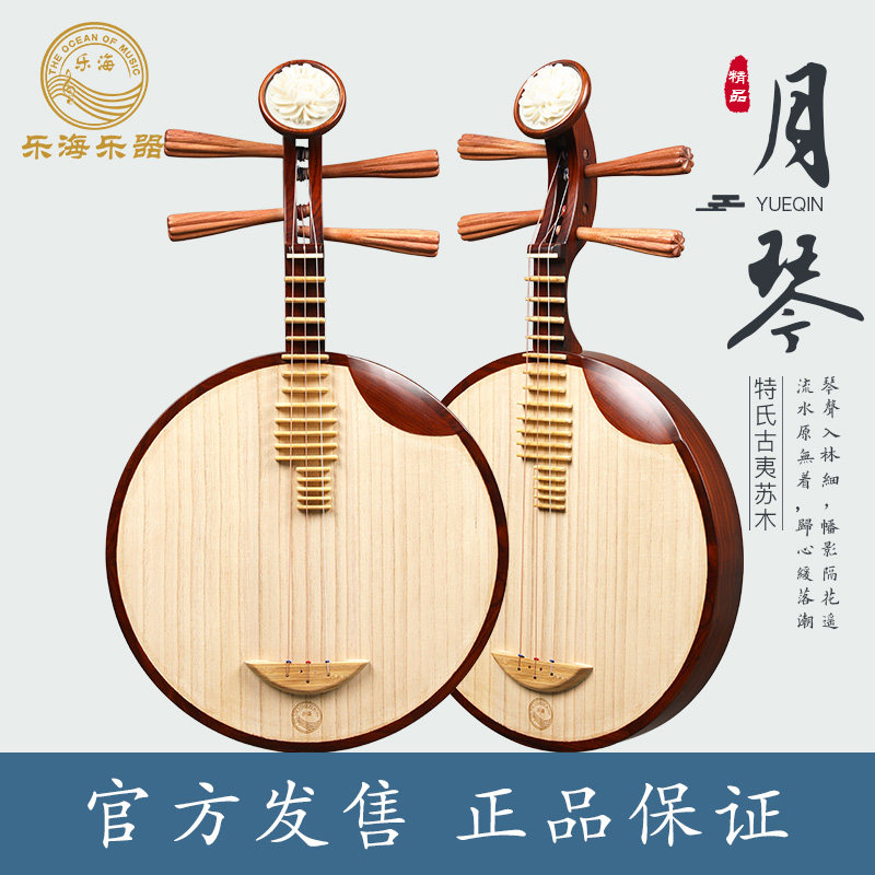 乐海月琴特氏古夷苏木专业演奏月琴乐器 民族弹拨乐器 de13