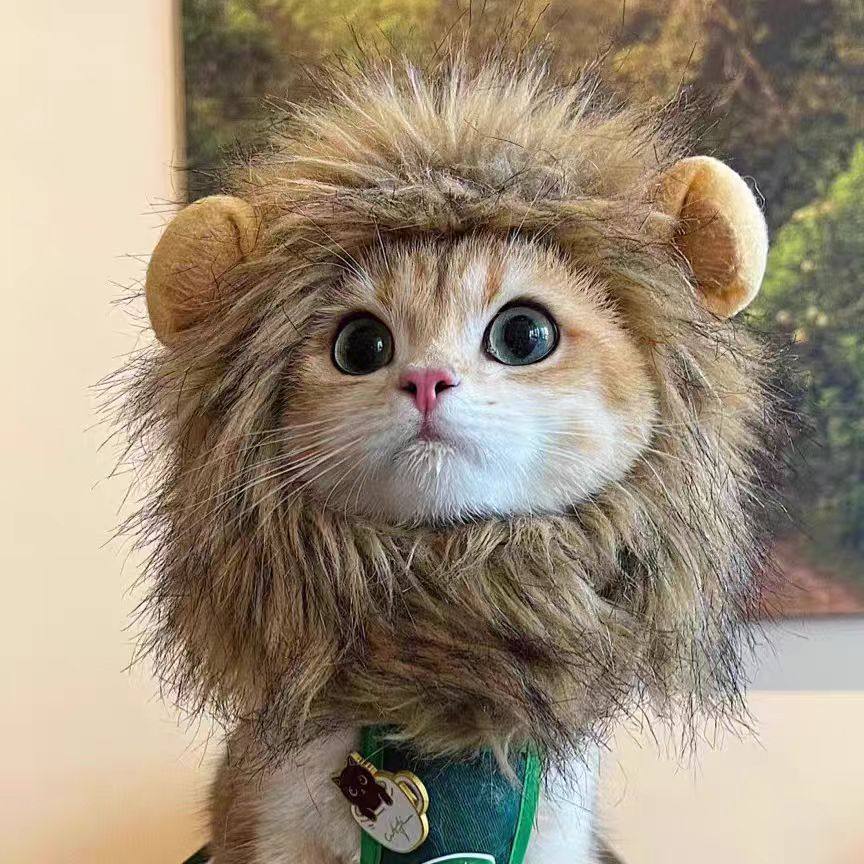 猫咪小狮子头套小型犬狗狗帽子宠物可爱搞怪头饰变装道具cos批发