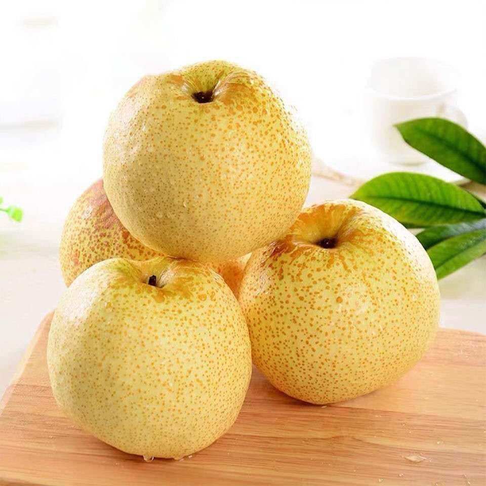 砀山梨新鲜梨子10斤水果包邮当季应季现摘整箱礼盒安徽汤山脆酥梨