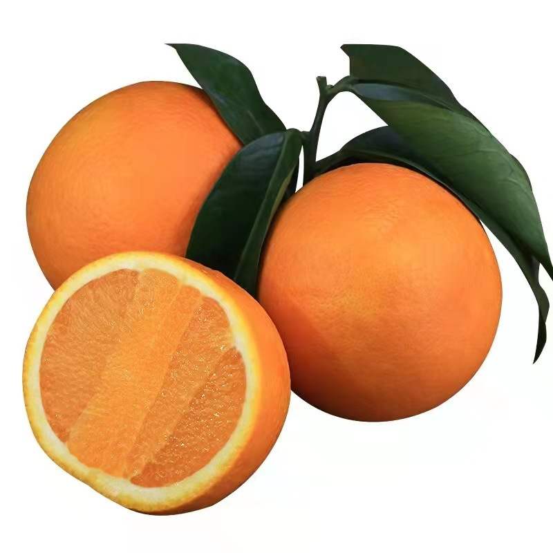 『脐橙』纽荷尔脐橙现摘现发当季新鲜水果纽荷尔橙子