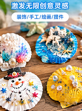 天然白色扇贝贝壳DIY彩绘手工品