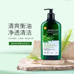 植树澳洲茶树精油洗发水控油止痒去屑除螨持久天然植物香氛洗发露