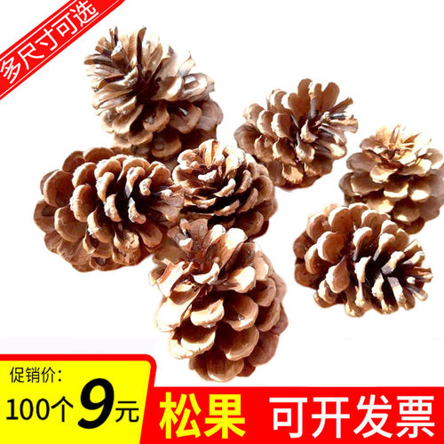 幼儿园DIY装饰品手工材料干松果