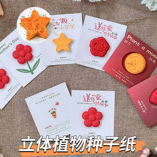 创意种子花立体环保儿童可种植