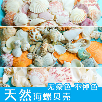 创意DIY材料包天然贝壳海螺饰品