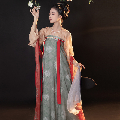 齐胸复原款印花公主风襦裙对襟衫