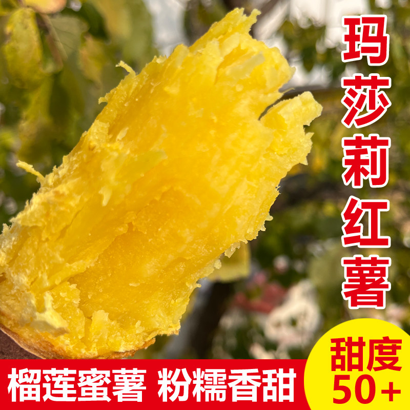 正宗玛莎莉红薯黄金榴莲蜜薯