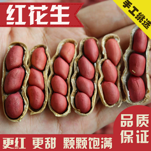 2025年新货山东去壳红皮衣花生米新鲜晒干富硒带壳生红花生种子籽