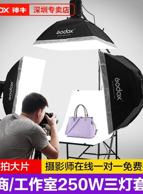 Godox 神牛E250 W摄影闪光灯SK400ii二代专业室内摄影棚灯证件珠宝照打光灯SK300W静物产品拍照400W影视灯
