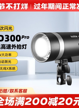 Godox 神牛AD300pro高速同步外拍闪光灯补光灯摄影灯便携300W户外