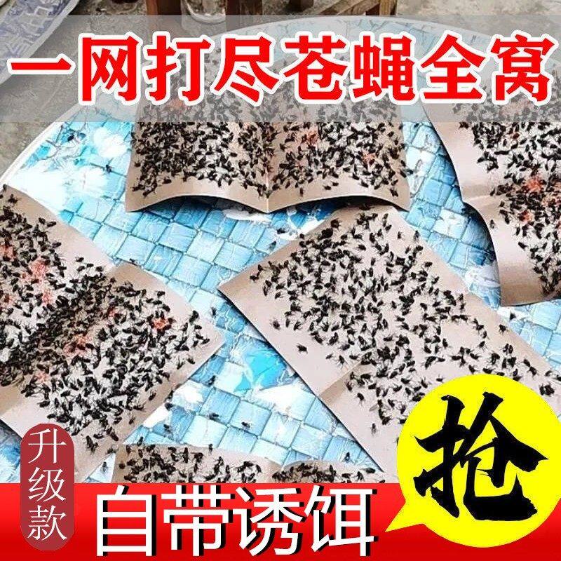 粘蚊贴大号苍蝇贴强力粘蝇纸灭蝇神器捕捉神器家用自带诱饵新款