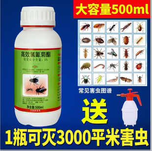 红火蚁蚂蚁药粉全窝室内家用农用菜地户外无小蚂蚁端毒除厨房 新款
