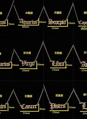 Stainless steel twelve zodiac English letter sweater necklac