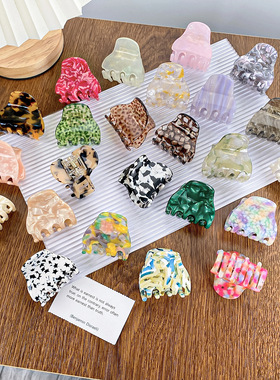 Acetic acid colored grip clip, back of head accessory, pony