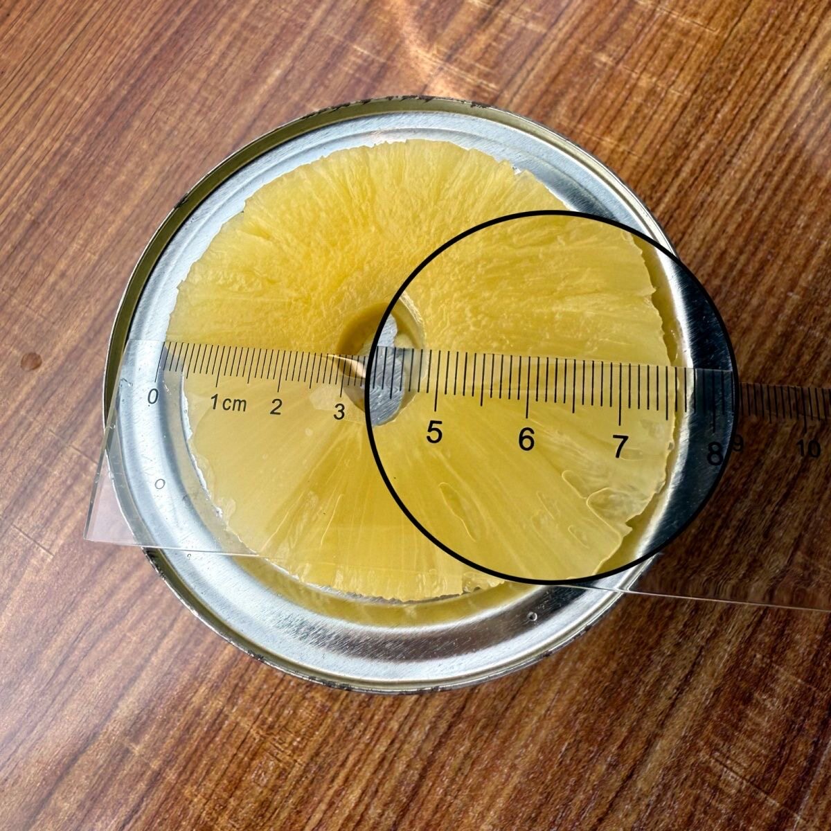大象林易拉罐国产菠萝罐头直径约7.6厘米烘焙汉堡商用菠萝圆片