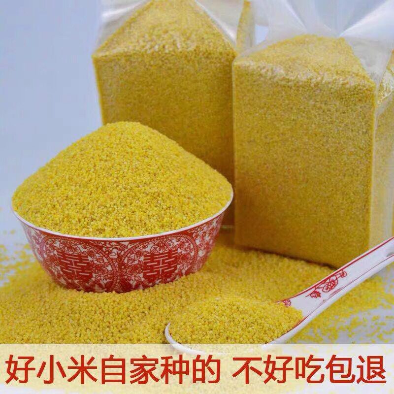 东北农家自种新米小黄米杂粮米粥农家月子米5斤现磨黄小米5斤包邮