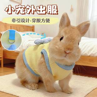 超小号兔子衣服宠物侏儒兔幼兔龙猫荷兰猪春秋季外出带牵引绳衣服