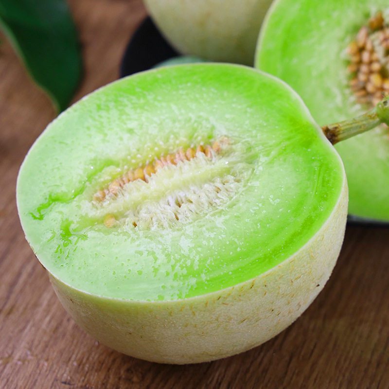 现摘山东玉菇甜瓜冰淇淋蜜瓜10哈密瓜
