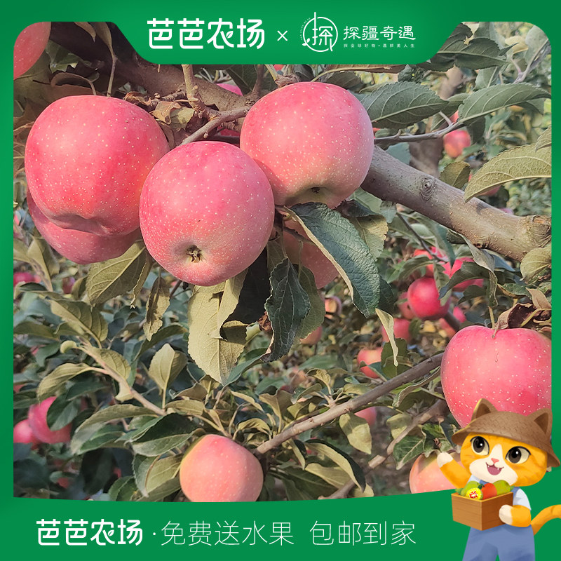 「10月芭芭农场兑换专享」大红苹果