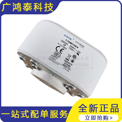 全新 170M7064 快速熔断器    保险丝   跌落式高压熔断器