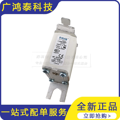 全新 170M2669/ 170M2668 快速熔断器 熔断器底座 元器件保护
