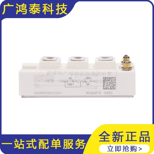 SKM100GB125DN 可控硅晶体管 IGBT功率模块 电子元器件 欢迎咨询