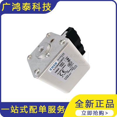 全新 170M5960低压快速熔断器 保险丝 熔断器设计 陶瓷熔断器