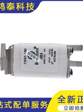 全新  GBSF-100   低压 快速熔断器 保险丝 质量保证