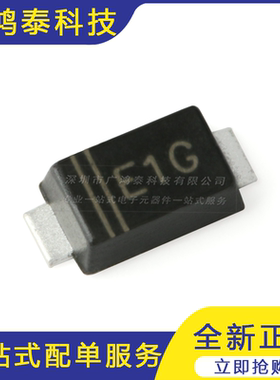 DSF1G E1G SOD-123F 400V/1A 贴片超快恢复二极管 10只