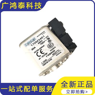 全新 170M3461电流保护 熔断器陶瓷 质量保证 低压快速熔断器