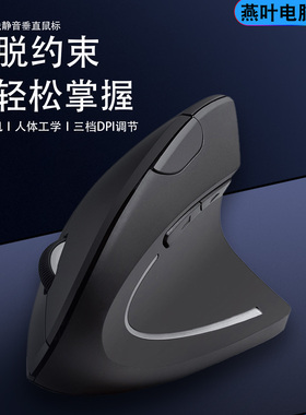 垂直无线蓝牙双模鼠标人体工学办公商务静音立式可充电黑色家用