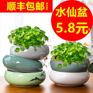 水培花盆陶瓷大号铜钱草特价清仓金钱草简约碗莲荷花缸无孔水仙花