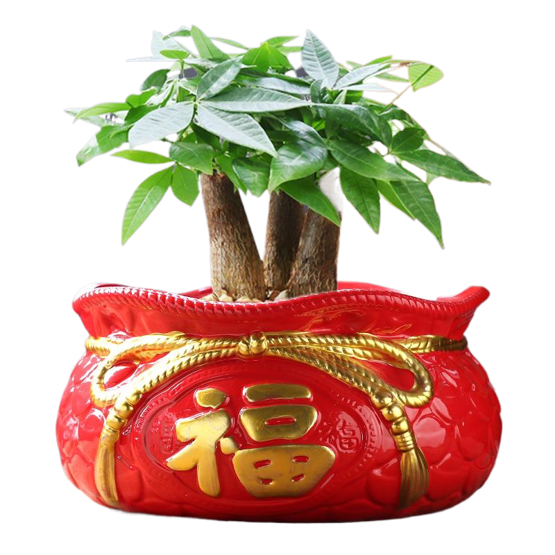 陶瓷花盆中国红特大号特价清仓蝴花盆