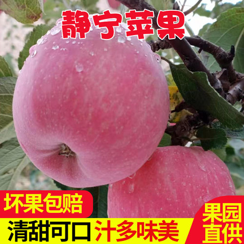 静宁红富士新鲜脆甜皮薄肉厚2023